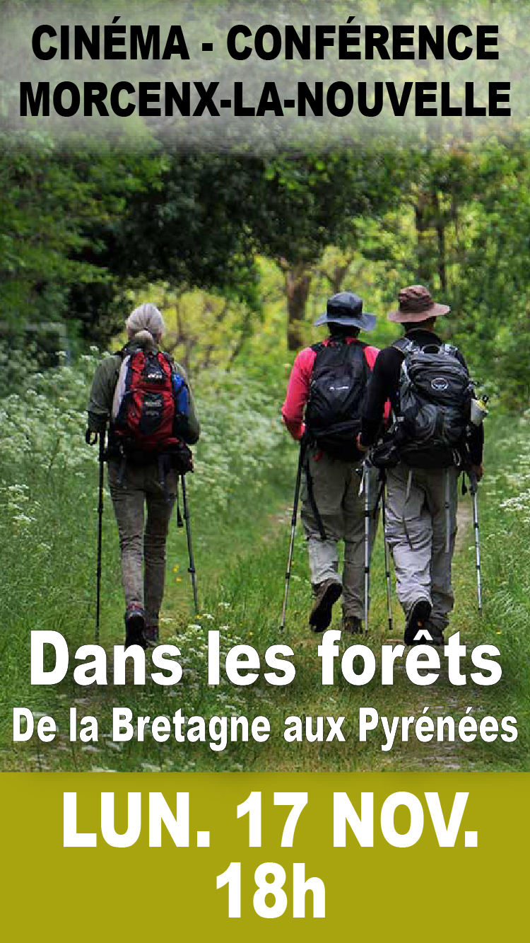 251117_Plan de travail 1.jpg