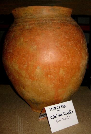 Vase.jpg