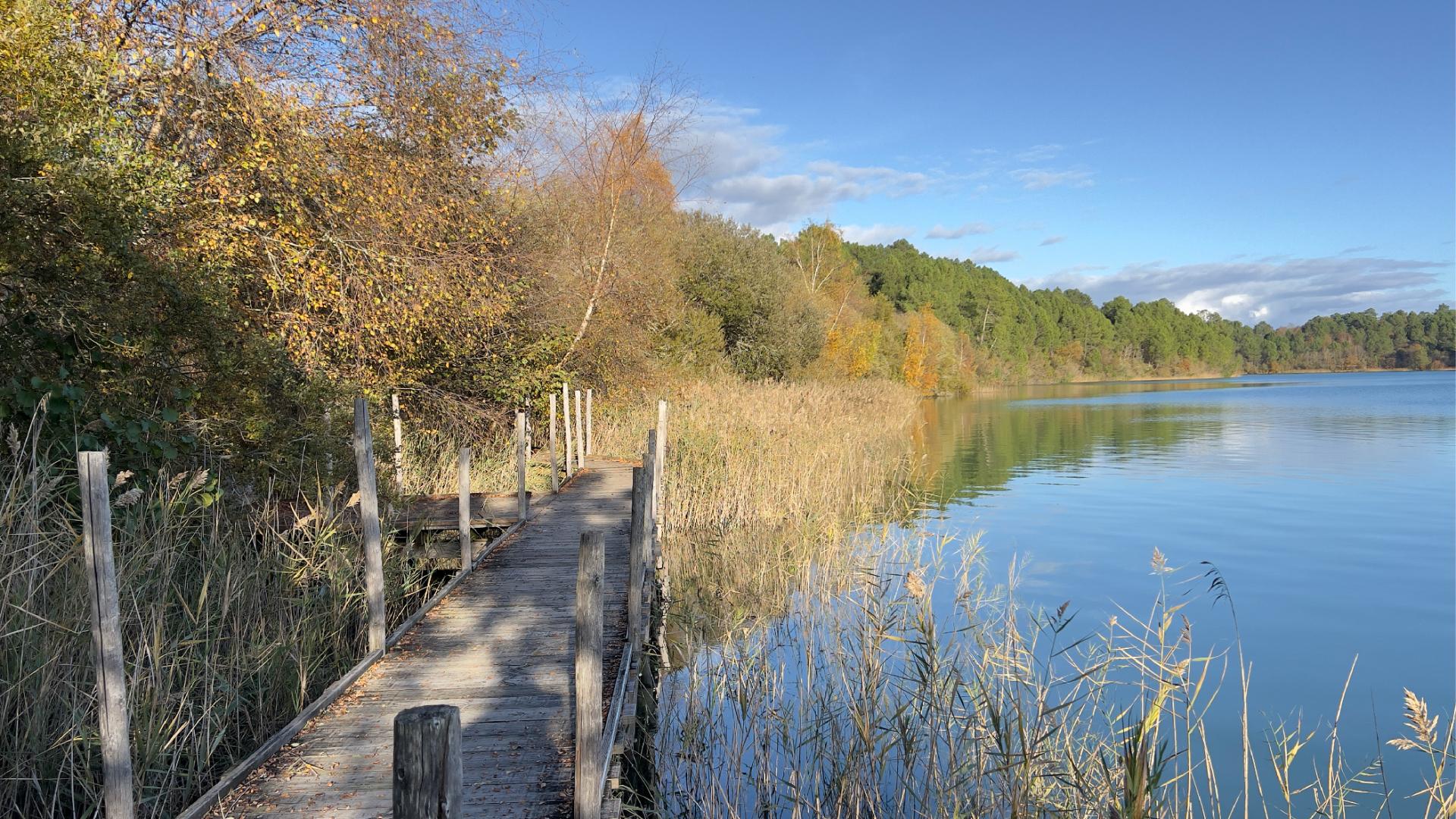 Lac-d'Arjuzanx-3.jpg